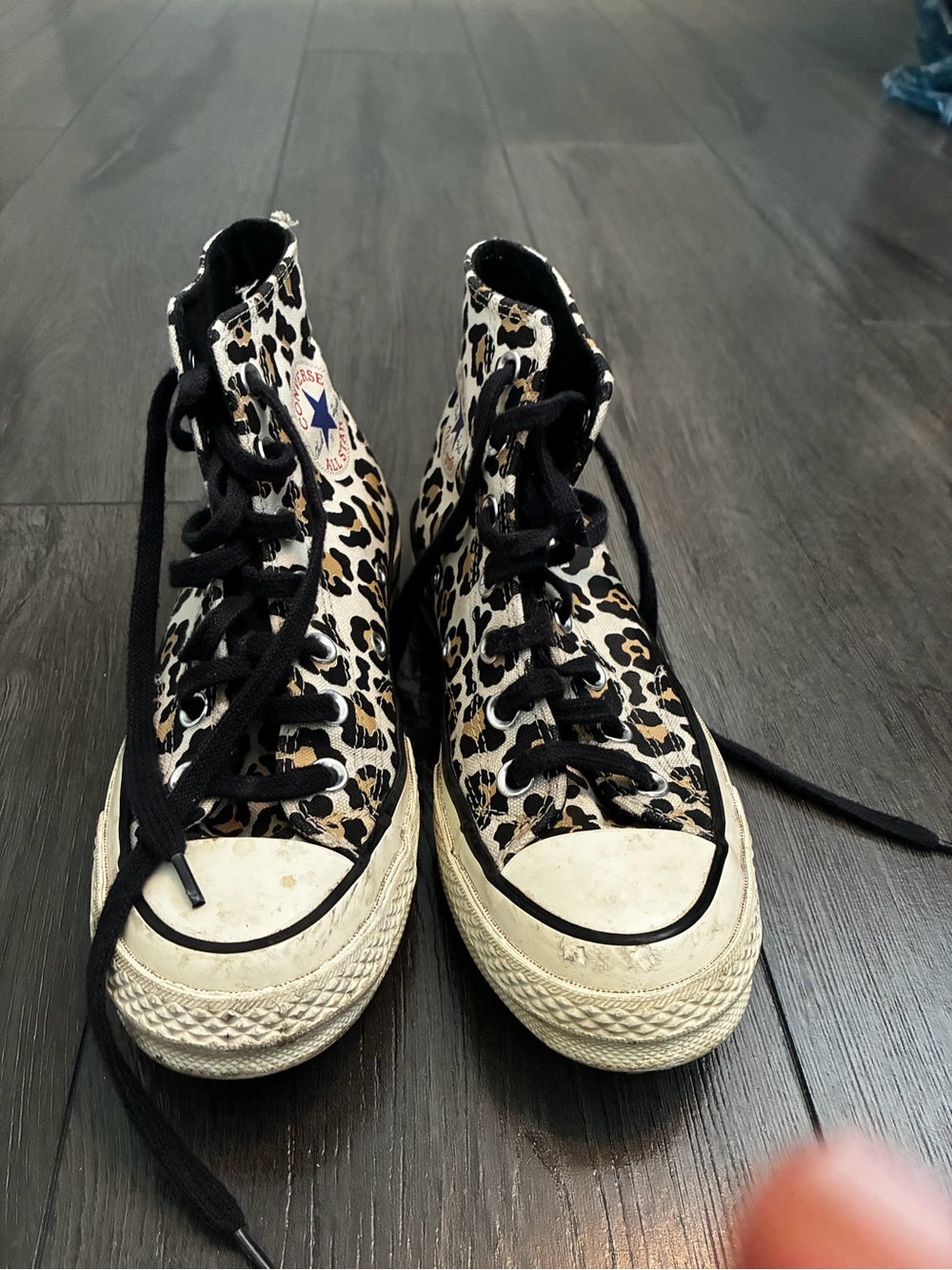 Converse High Top Sneakers - Leopard Print with Black Trim